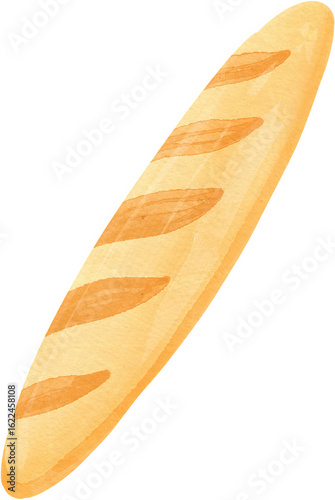 watercolor illustration of  a f rench baguette