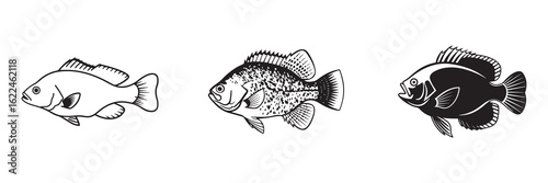 Freshwater Bass Fish Vector Silhouette with Bold Profile and Spiny Fins. set