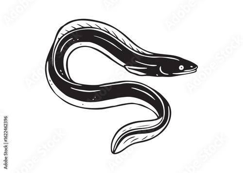 Hand-Drawn Vector Line Art of Curled Eel in Black and White.