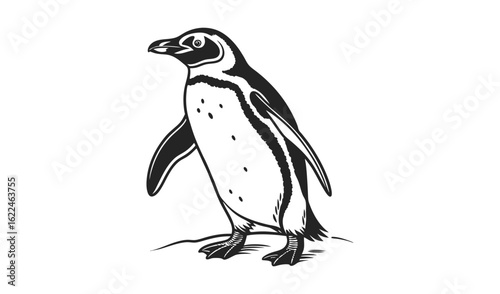 Black and white sketch of a standing penguin on a rocky surface
