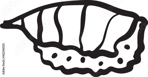 Sushi food ink Japanese cuisine	
