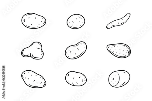 Various potato shapes and forms line art potatoes root vegetable