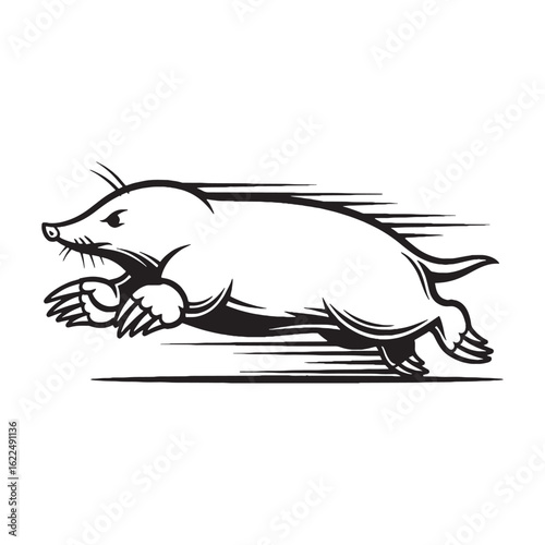 Minimal Mole Line Art – Mole Vector Illustration Simplified Drawing with Rounded Head – Mole Drawing – Line Art Drawing of Mole – Mole Icon

