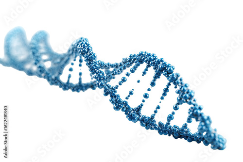 3D illustration of a DNA strand.  Light-blue,  detailed  double helix  with  darker  blue  bases.  Abstract,  scientific,  isolated