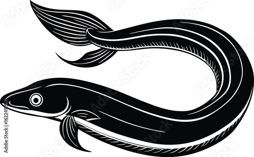eel fish silhouette vector illustration with curved body in aquatic wildlife design
