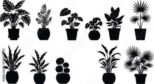 Silhouettes of indoor houseplants in pots, minimal foliage design, black botanical icons, nature decor set, home gardening vector illustration