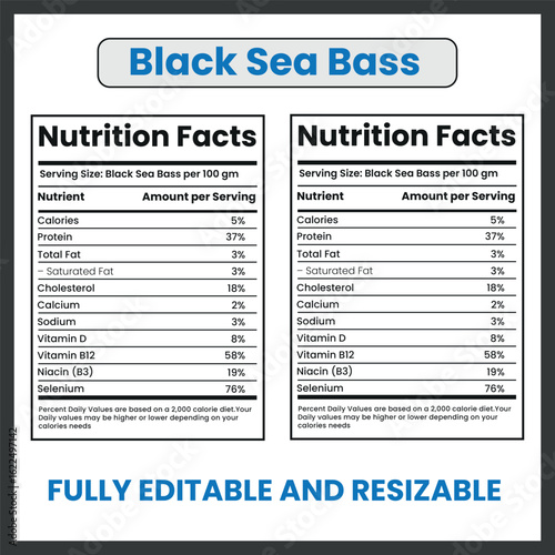 Black Sea Bass Fish Vector Drawing