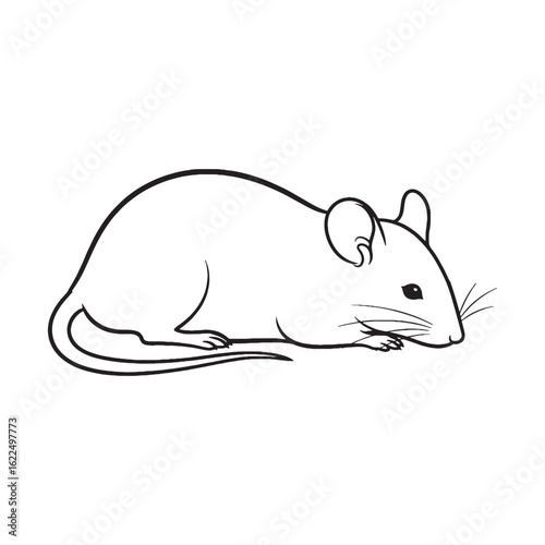Sleek Mouse Line Art – Mouse Vector Illustration Clean Drawing with Smooth Curves – Mouse Drawing – Line Art Drawing of Mouse – Mouse Icon

