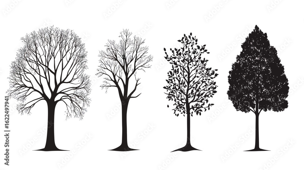 Obraz premium Fall Tree Vector Silhouette – Autumn Tree Graphic Design