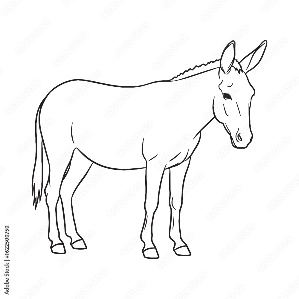 Fototapeta premium Graceful Mule Line Art – Mule Vector Clean Outline Drawing with Defined Long Ears – Mule Drawing – Vector of Mule – Mule Outline