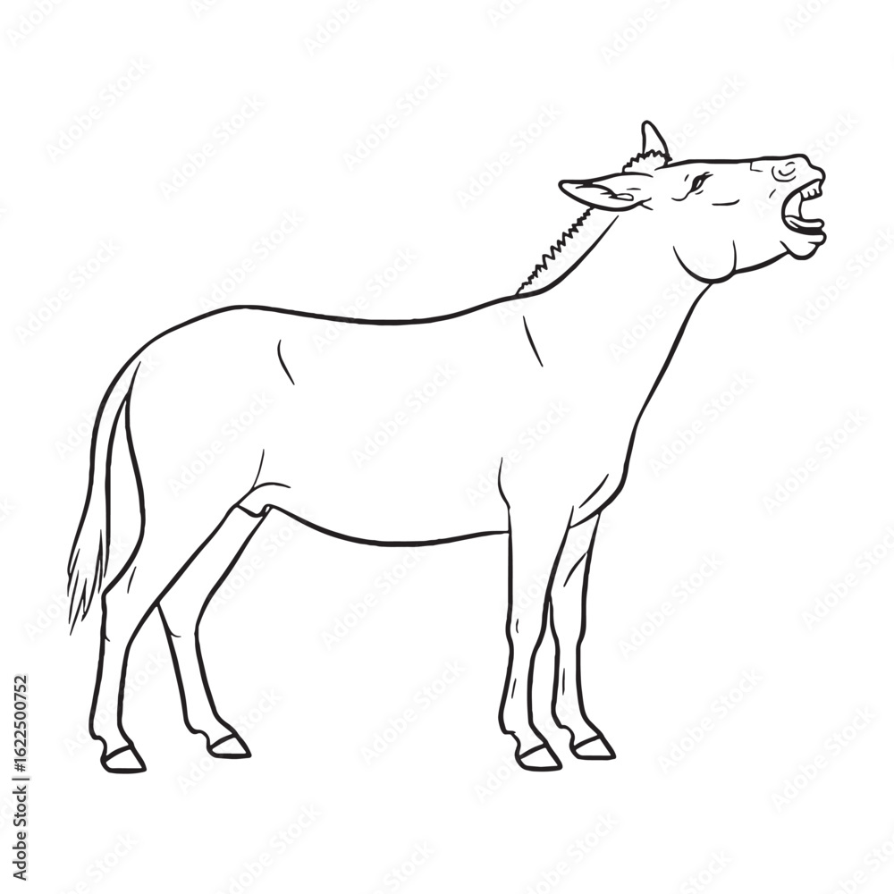 Fototapeta premium Detailed Mule Line Art – Mule Vector Illustration Fine Drawing with Hybrid Equine Traits – Mule Drawing – Line Art Drawing of Mule – Mule Icon