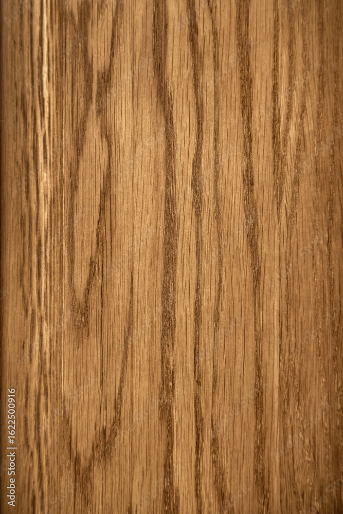 Oak wood texture with linear grain direction Oak wood texture with linear grain direction