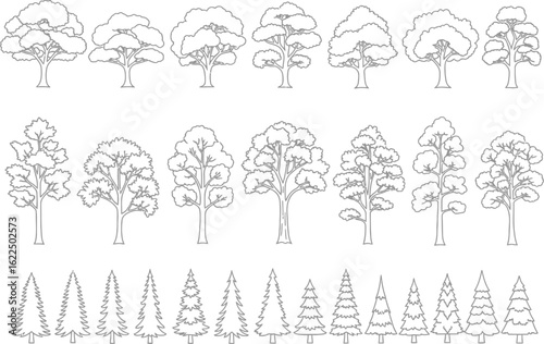 Collection of hand drawn black and white line art illustrations of various deciduous and coniferous trees in rows