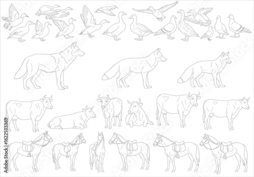 Collection of detailed line drawings of various animals including wolves horses and other wildlife in a naturalistic style