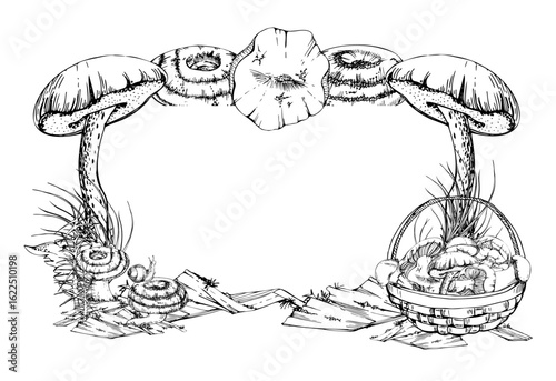 Basket of picked mushrooms on bark with moss lichen growth, horsetail stalks. Copy space frame hand drawn in vector ink. Bolete russula milk-cap fungi forest harvest, raw ingredient for vegan cooking.