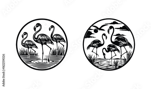 Two circular black and white illustrations of flamingos in their natural habitat