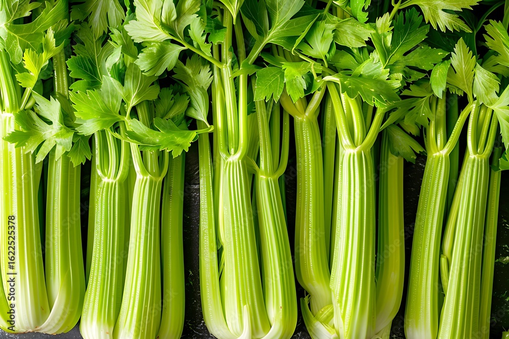 Obraz premium Green celery background. Top view,