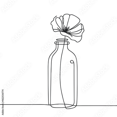 Minimalistic line drawing of a flower poppy in a glass bottle  