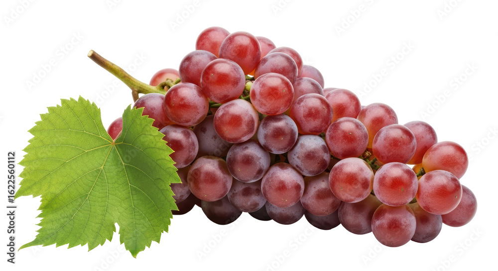 Obraz premium Isolated Red Grapes