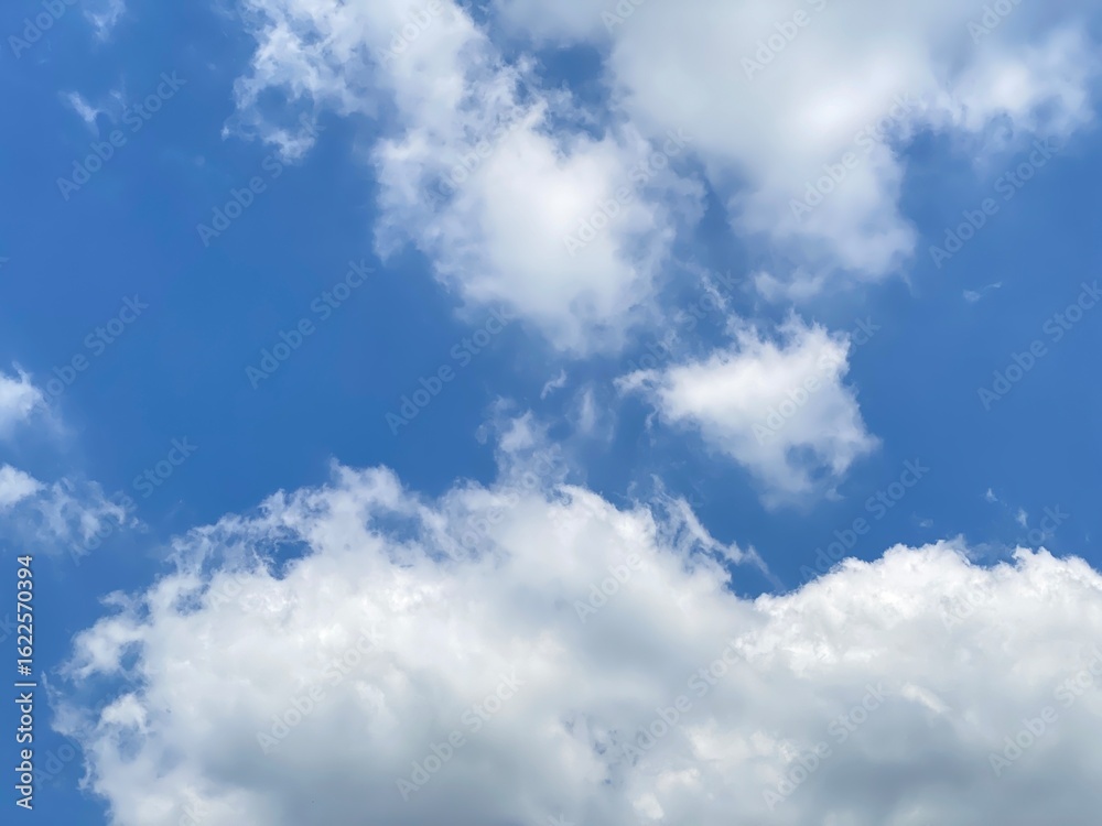 Obraz premium Nature 自然