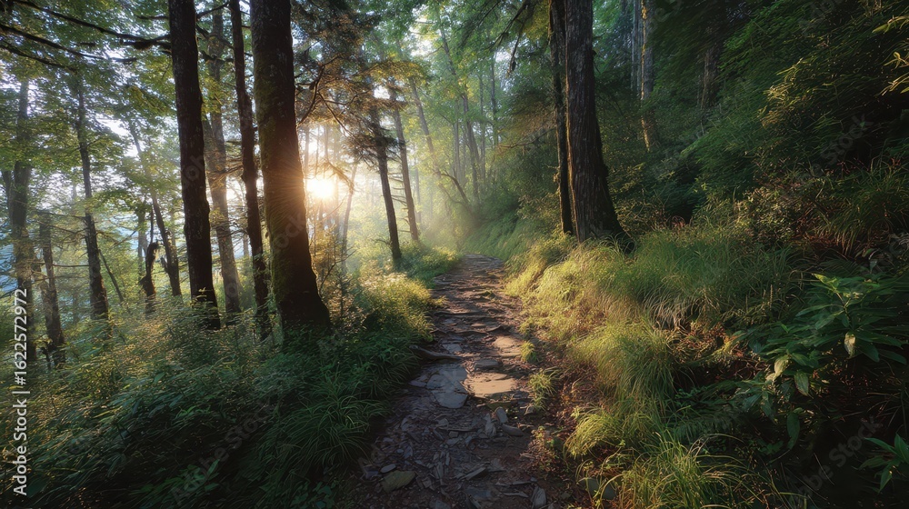 Fototapeta premium Serene Sunrise on a Peaceful Forest Hiking Trail