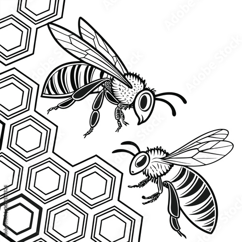 Macro vector illustration of a yellow and black bumblebee insect with spread wings collecting pollen from a flower
