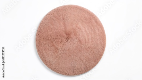 Cozy round carpet set against a white background