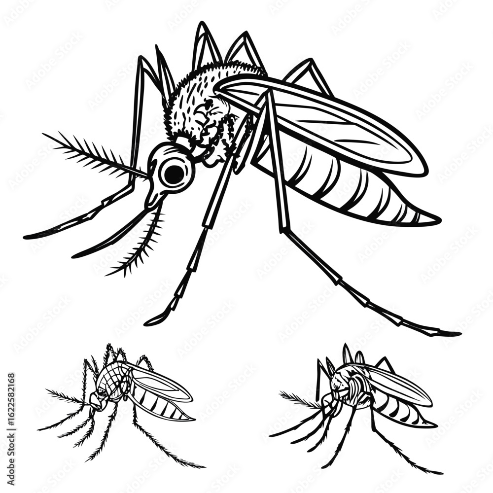 Obraz premium A detailed vector illustration set of insects and spiders, perfect for bug-themed designs, icons, and nature-inspired tattoos