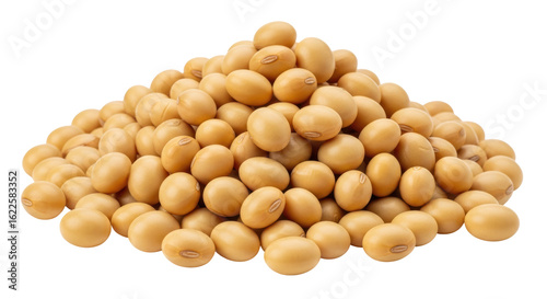 Isolated Pile of Soybeans