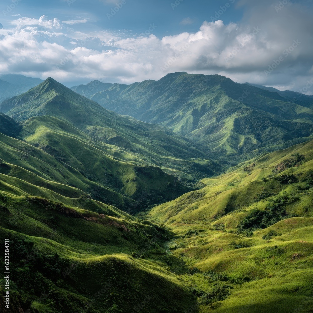 Fototapeta premium Green Hills and Mountain Peaks