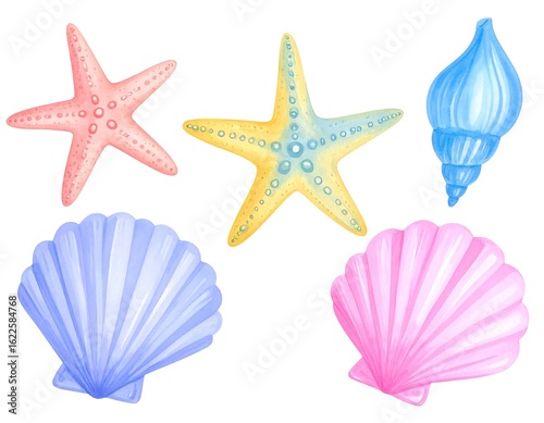 Watercolor illustration of starfish and seashells in various colors on white background