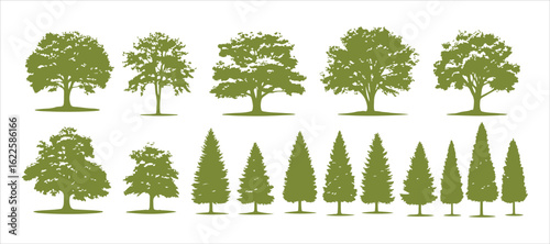 Trees arranged on a white backdrop. Thoughtfully layered and grouped for effortless editing.

