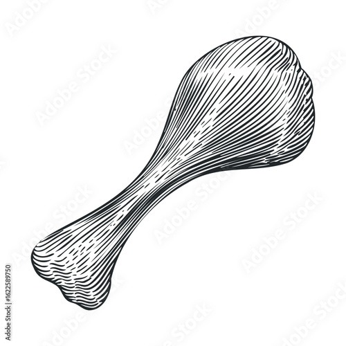 Chicken drumstick illustration for culinary design projects