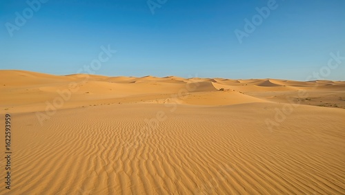 Vast sandy landscape under a bright sky. Village homes once relocated owing to sand shifts, desert spread now controlled by planted trees.