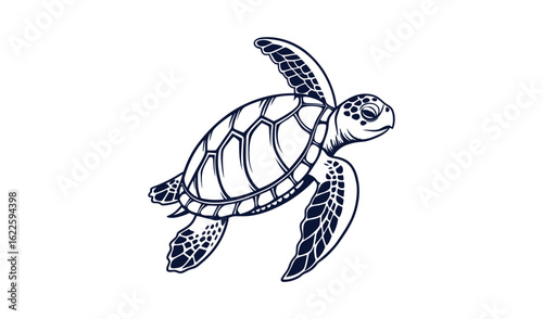 Detailed line drawing of a sea turtle swimming gracefully underwater