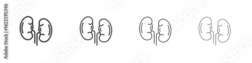 Kidneys icon vector collection, illustration logo template in trendy thin line editable strokes style.