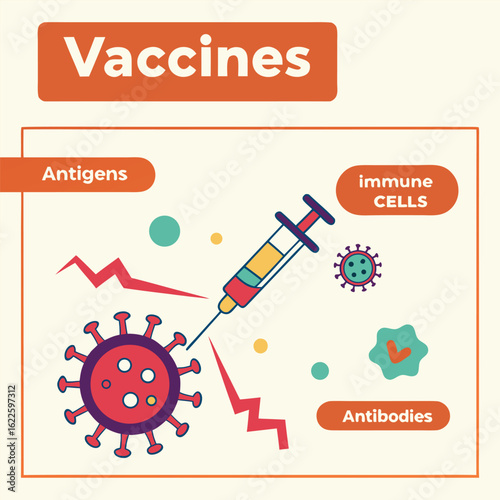Infographic on how vaccines work in the human body generated by ai