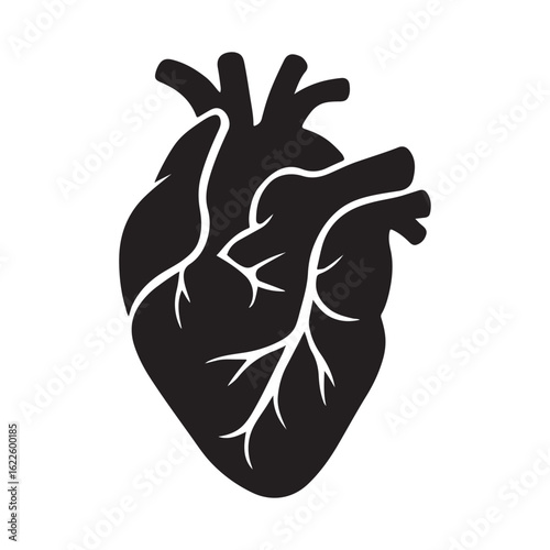 Anatomical Heart Icon – Human Organ Silhouette Vector Medical Illustration