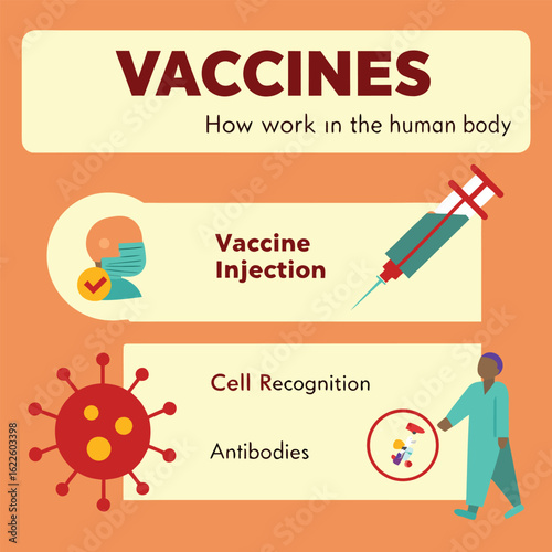 Infographic on how vaccines work in the human body generated by ai
