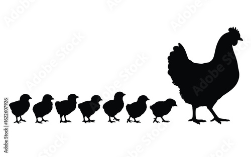 Silhouette of a mother hen and her chicks walking in a line