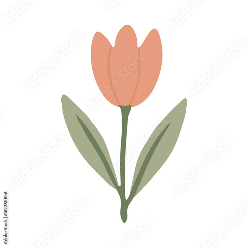 vector illustration of a flower