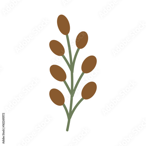 vector illustration of a flower