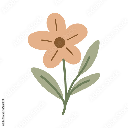 vector illustration of a flower