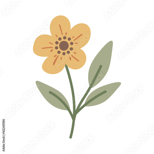 vector illustration of a flower