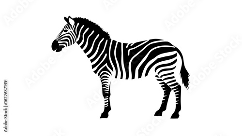 Illustration of a zebra with black and white stripes standing on a white background in side view