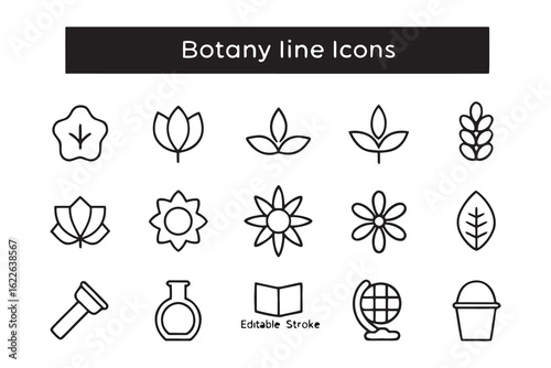 Set of 32 botanical line icons for nature and science