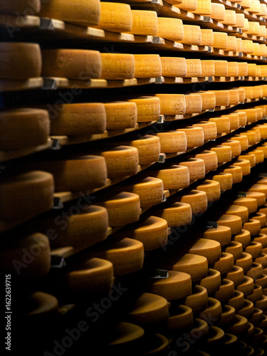 Ripening Gruyère AOP Cheese in Show Dairy, Gruyères, Switzerland