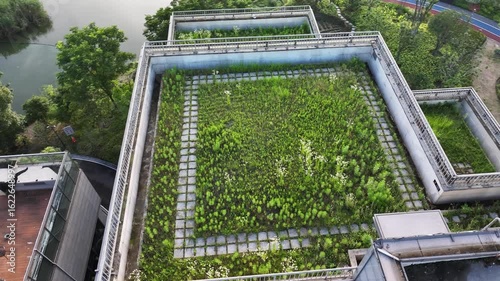 aerial view garden on rooftop of modern building