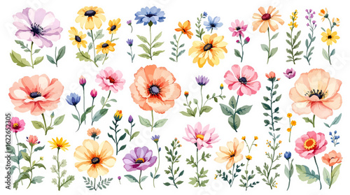 Delicate hand-painted wildflower field with light botanical charm
