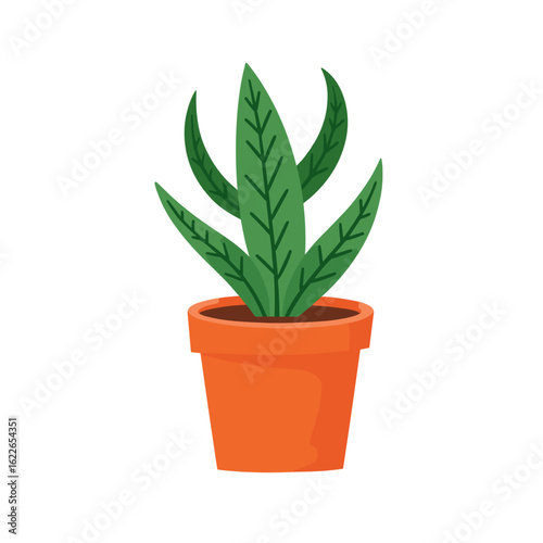 Potted green plant with elongated leaves in orange pot  